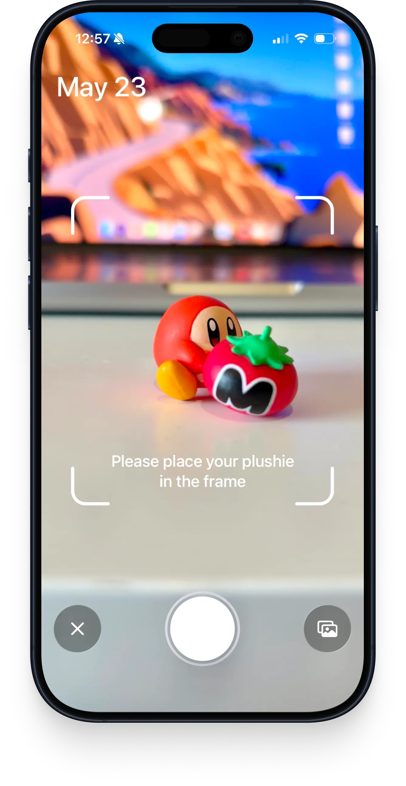 The in-app camera framing a small plushie, with a prompt to place your plushie in the frame